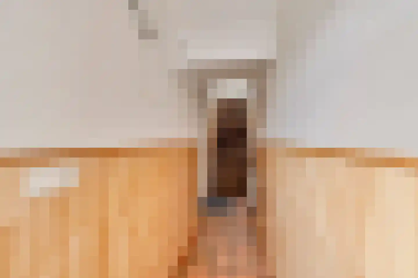 Meursweg 23 Didam thumbnail 22