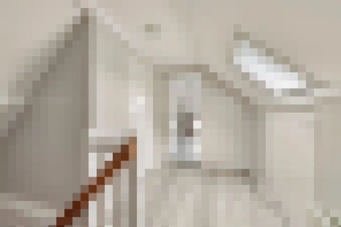 Meursweg 23 Didam thumbnail 23