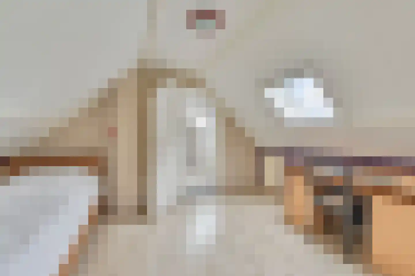 Meursweg 23 Didam thumbnail 25