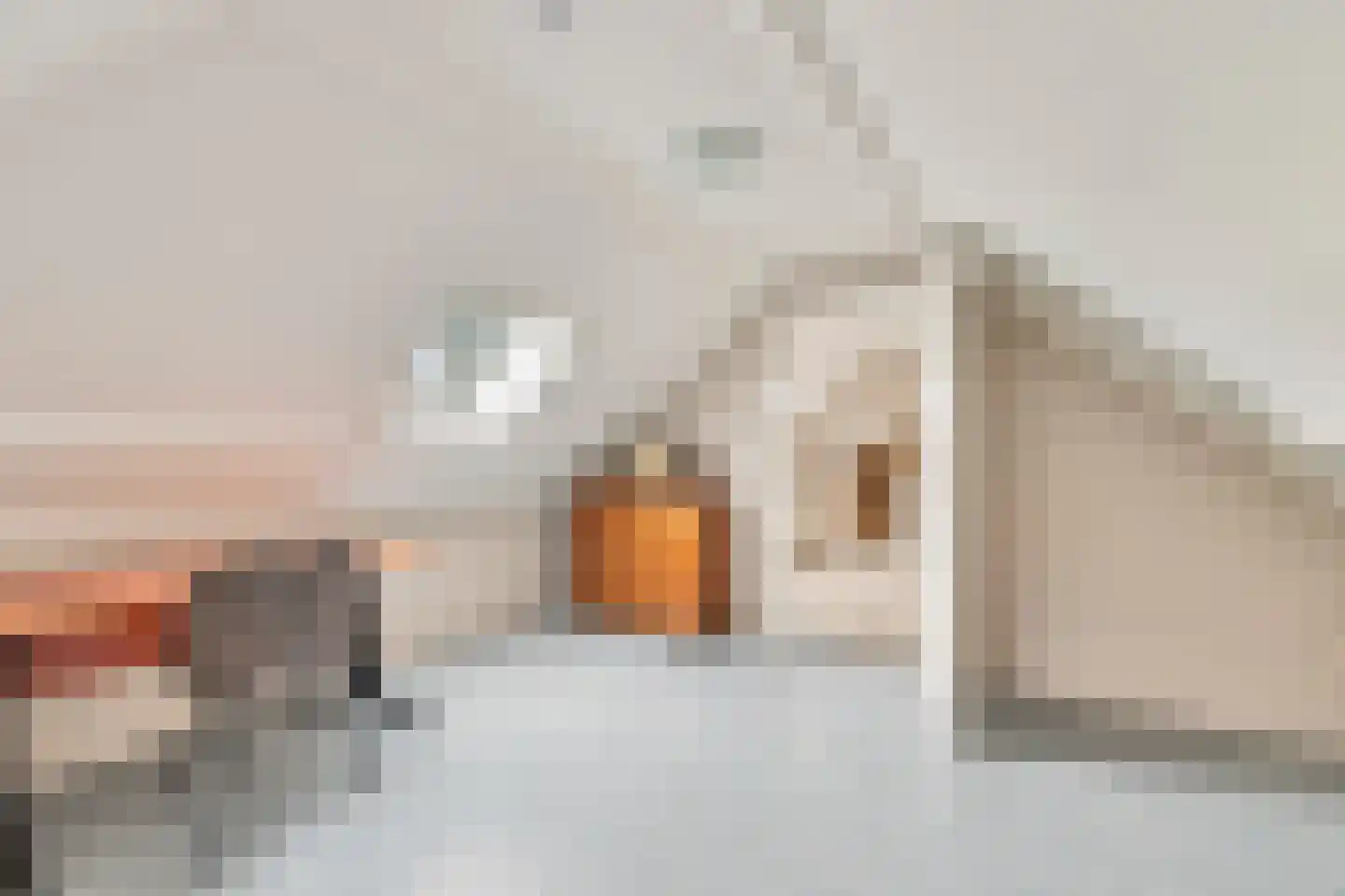 Meursweg 23 Didam thumbnail 27
