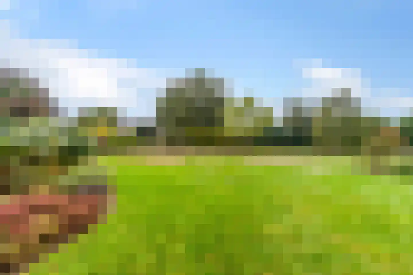 Meursweg 23 Didam thumbnail 29