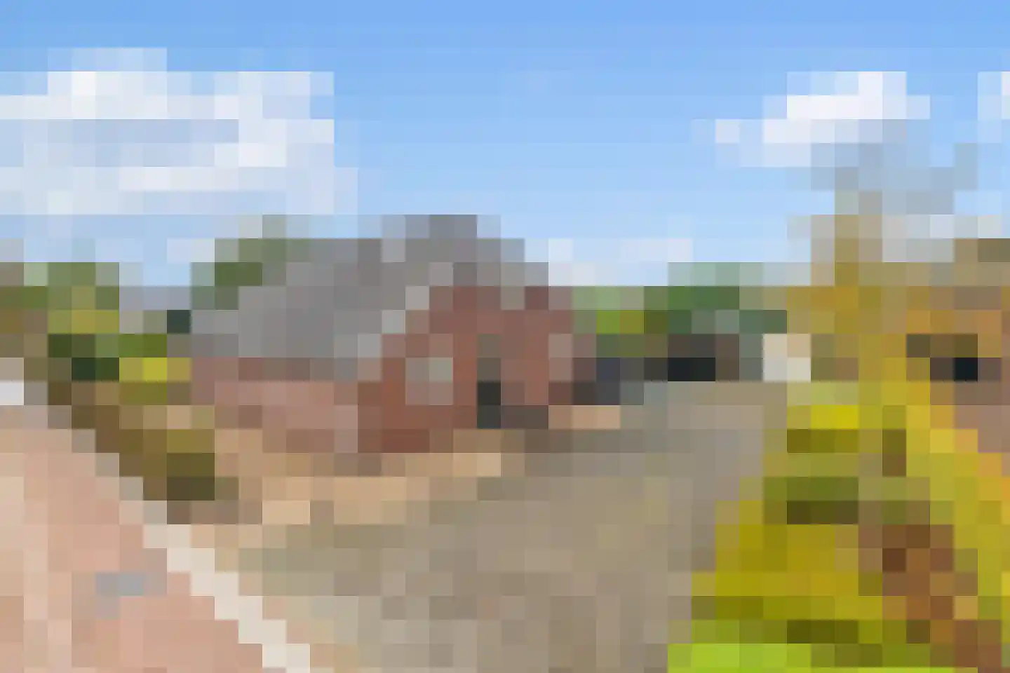 Meursweg 23 Didam foto 3