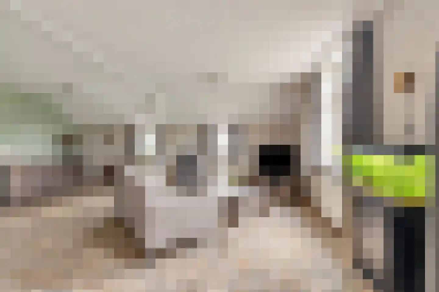 Meursweg 23 Didam thumbnail 4