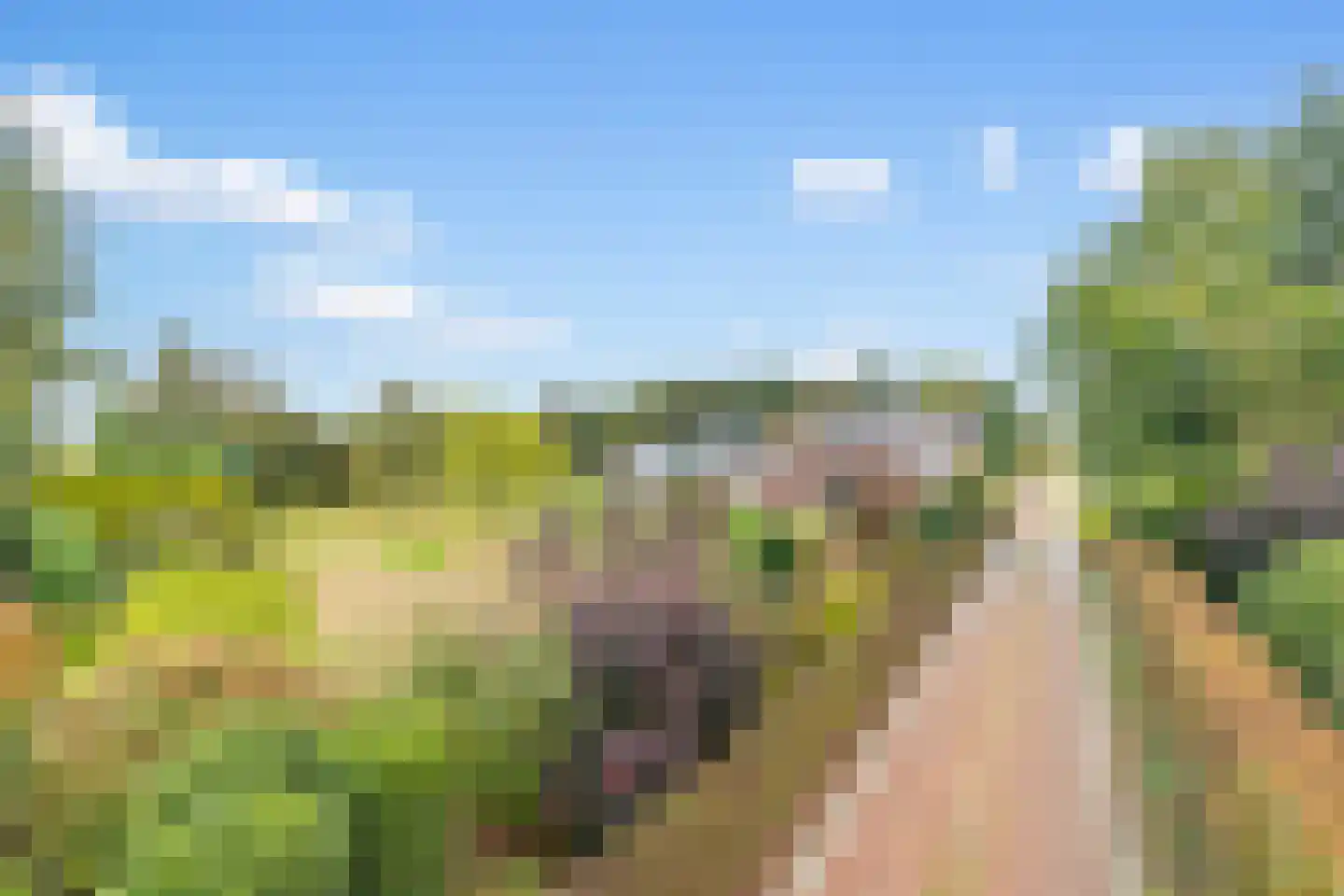 Meursweg 23 Didam thumbnail 41