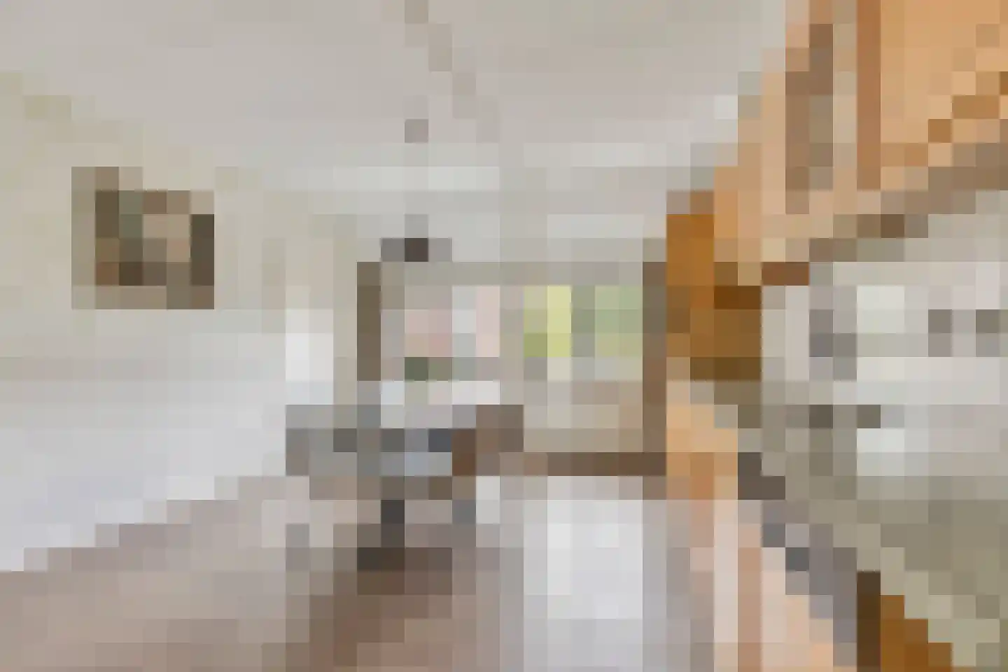 Meursweg 23 Didam thumbnail 5