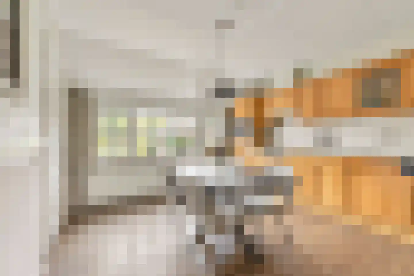 Meursweg 23 Didam thumbnail 6