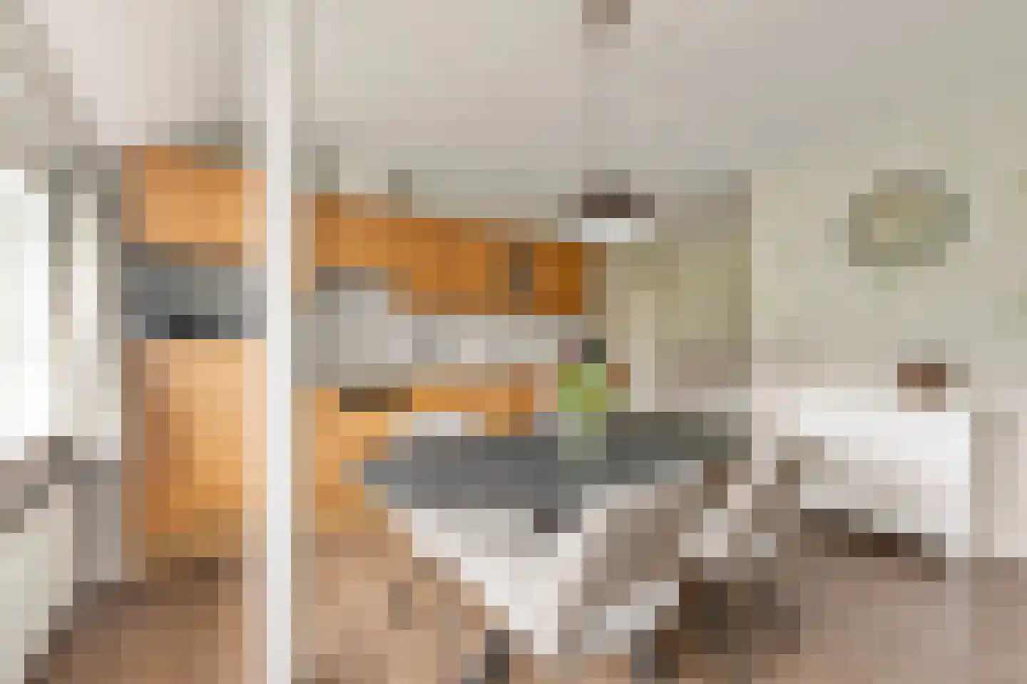 Meursweg 23 Didam thumbnail 7