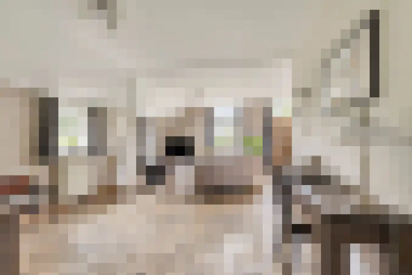 Meursweg 23 Didam thumbnail 9