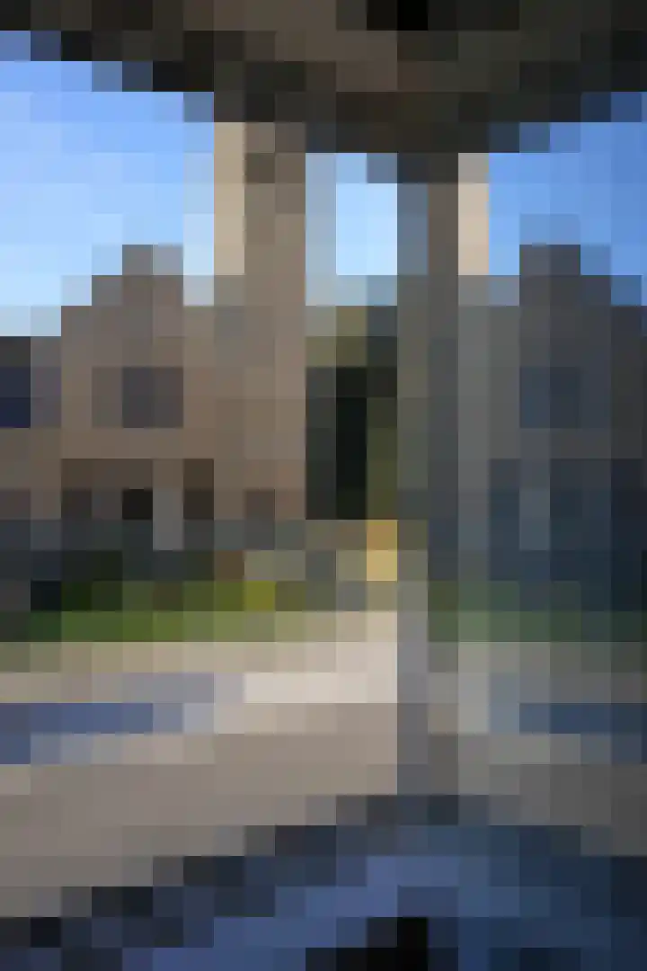 Meuserstraat 104 Kerkrade thumbnail 17