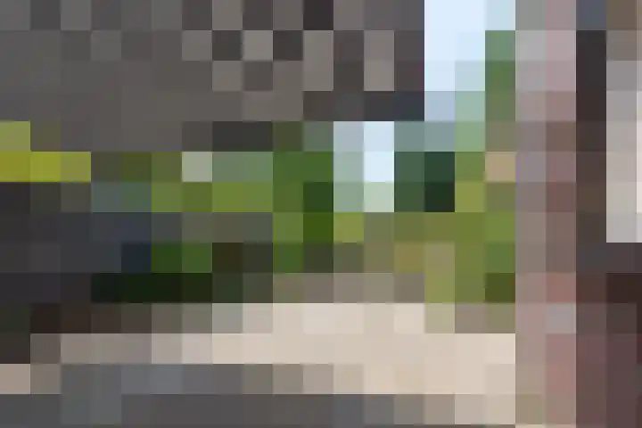 Meuserstraat 123 Kerkrade thumbnail 26