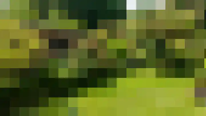 Meuserstraat 123 Kerkrade thumbnail 37