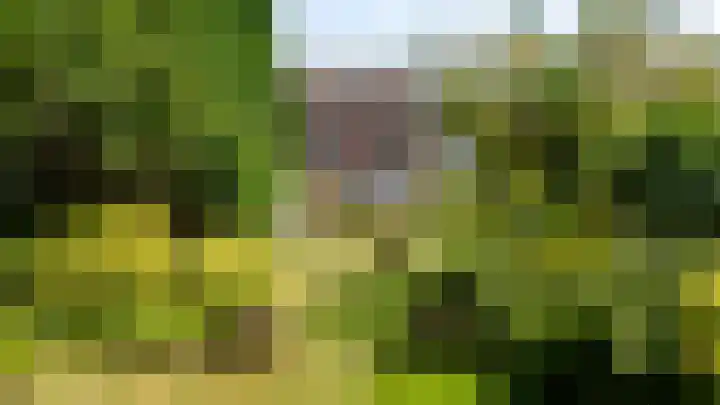 Meuserstraat 123 Kerkrade thumbnail 41