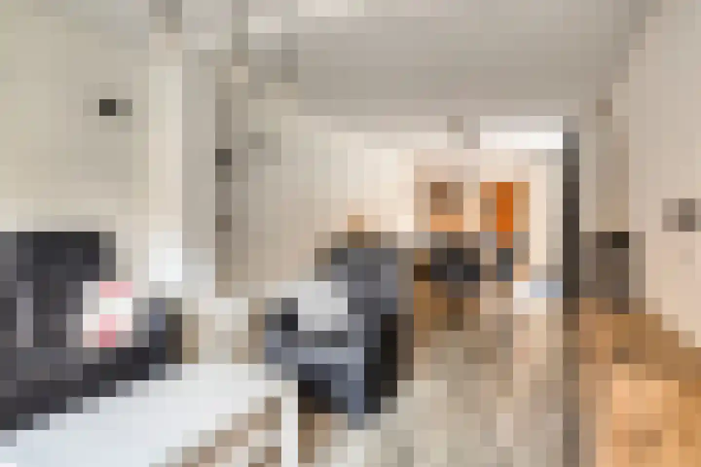 Meuserstraat 145 Kerkrade thumbnail 13
