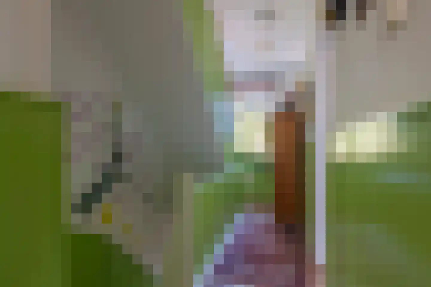Meuserstraat 65 Kerkrade thumbnail 15