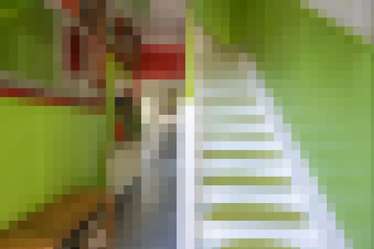 Meuserstraat 65 Kerkrade thumbnail 4