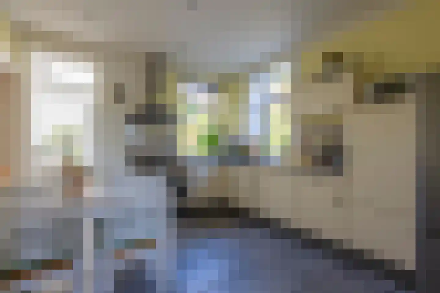 Meuserstraat 65 Kerkrade thumbnail 9