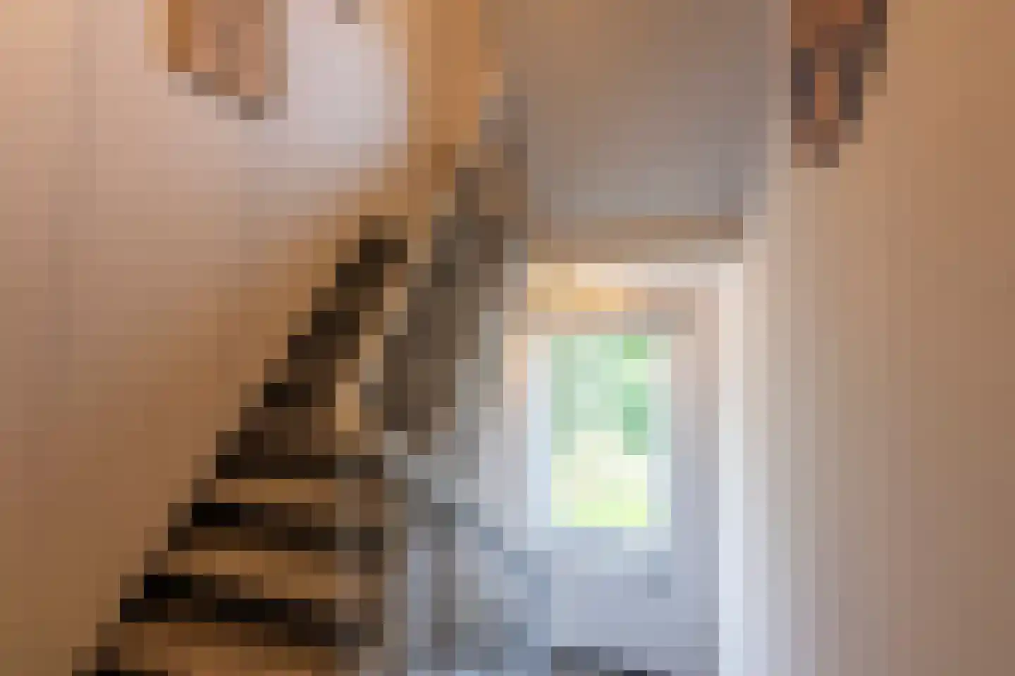 Meuserstraat 72 Kerkrade thumbnail 17