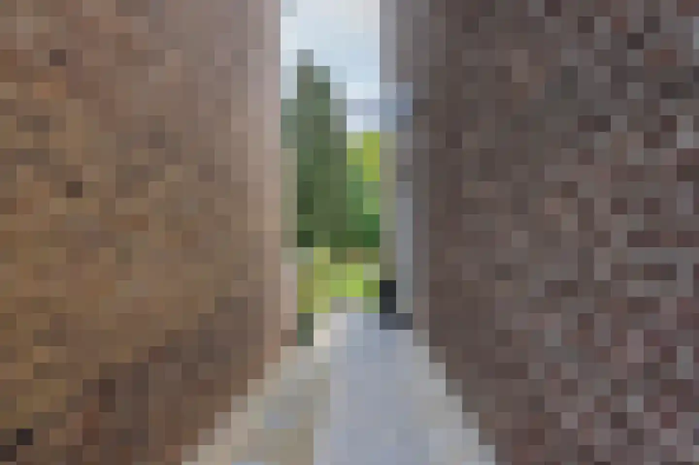 Meuserstraat 72 Kerkrade thumbnail 28