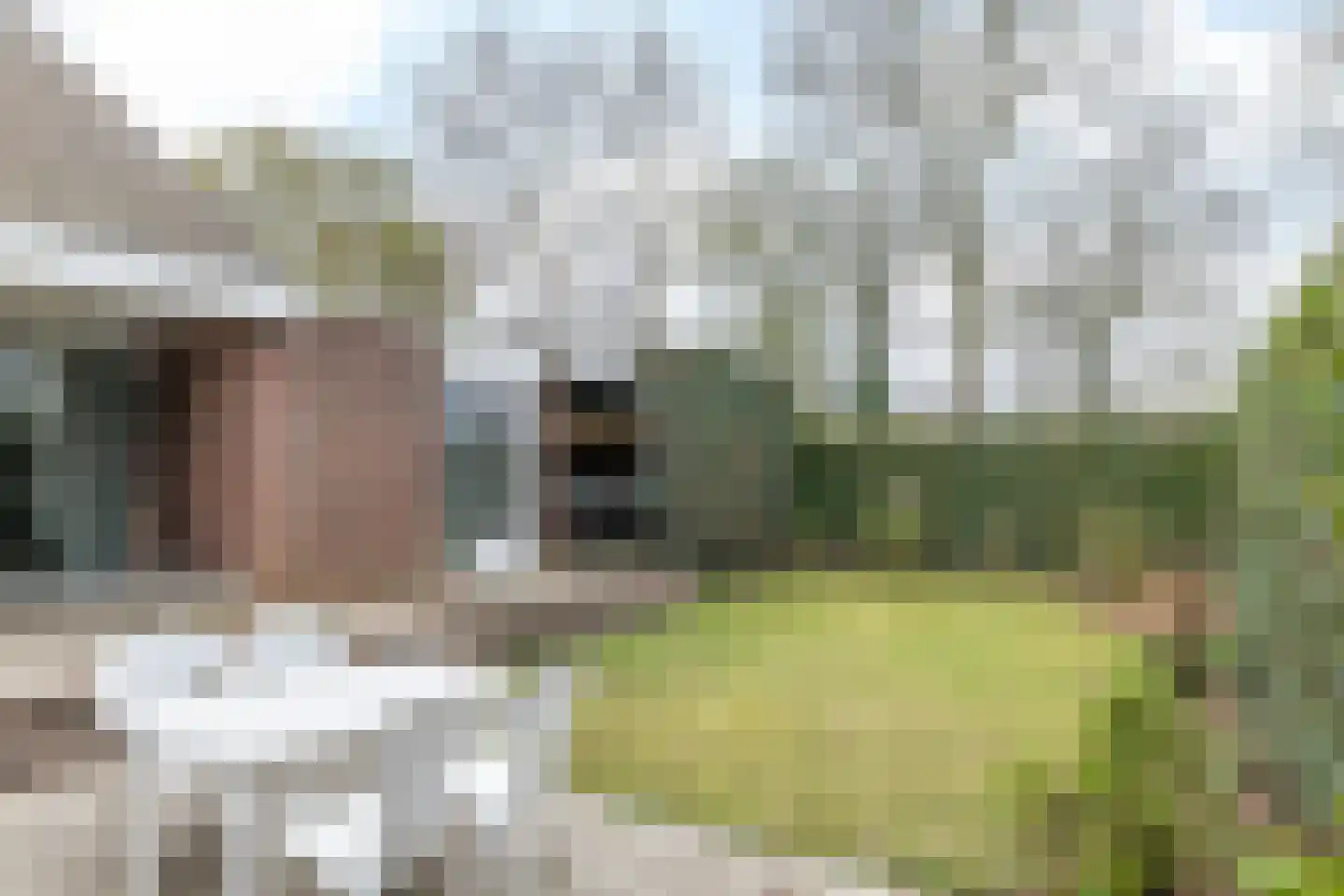 Meussenhof 11 Cadier en Keer thumbnail 30