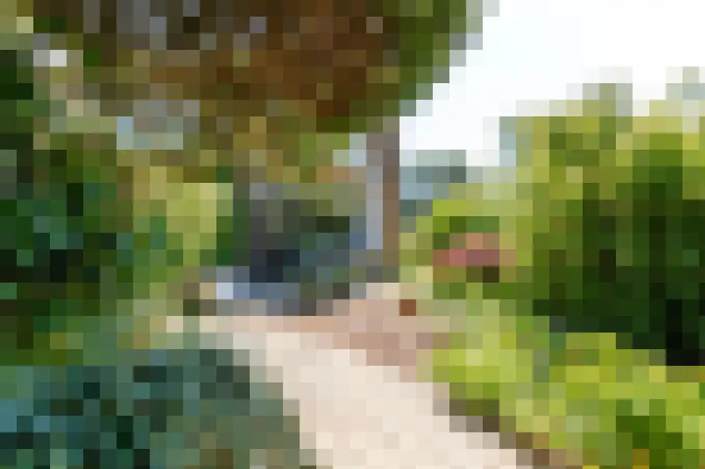 Meutelaan 13 Bilthoven thumbnail 30