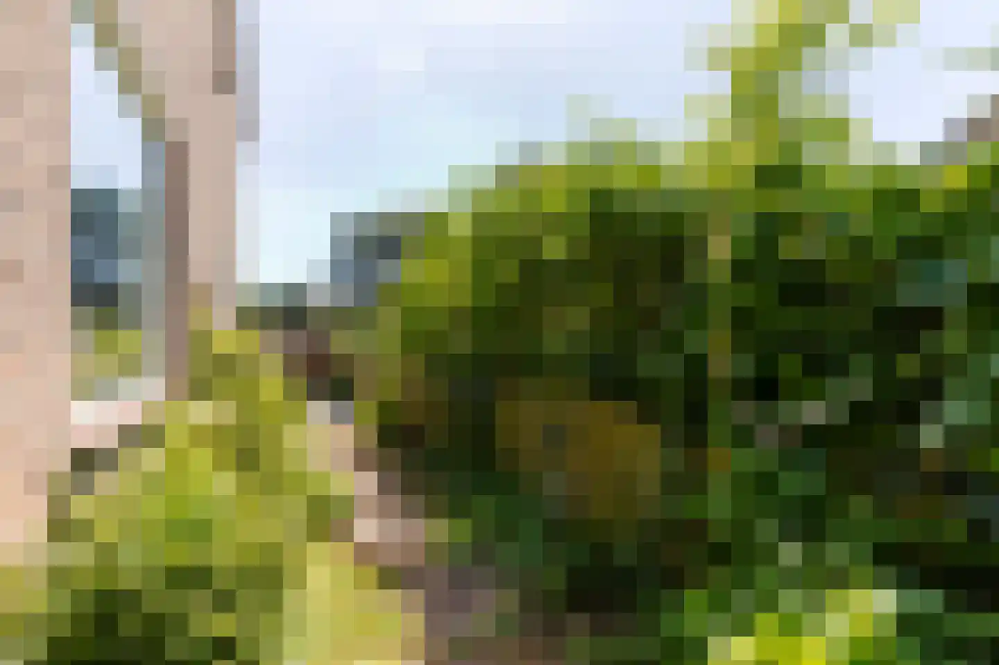 Meutelaan 13 Bilthoven thumbnail 31