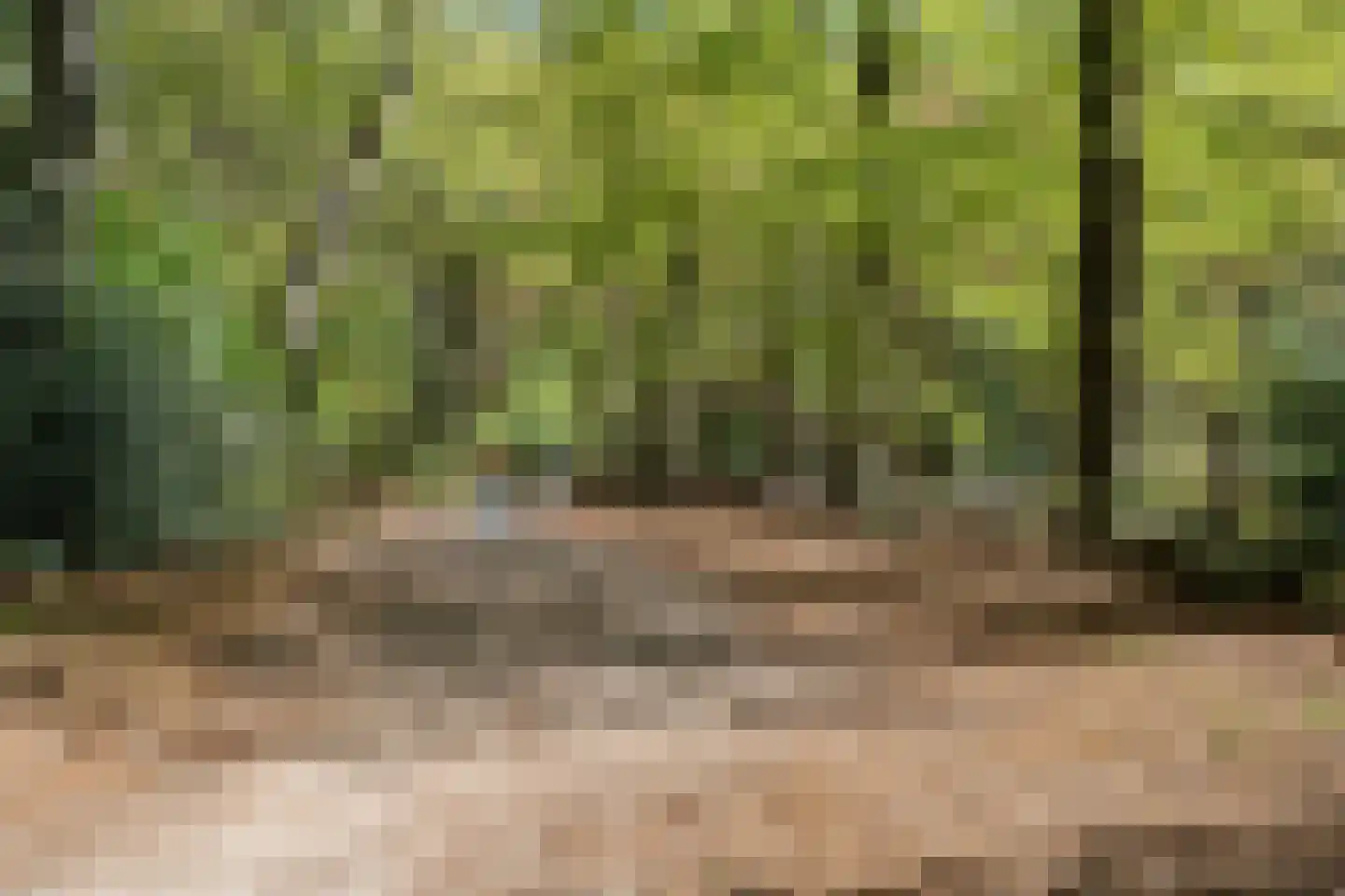 Meutelaan 13 Bilthoven thumbnail 43