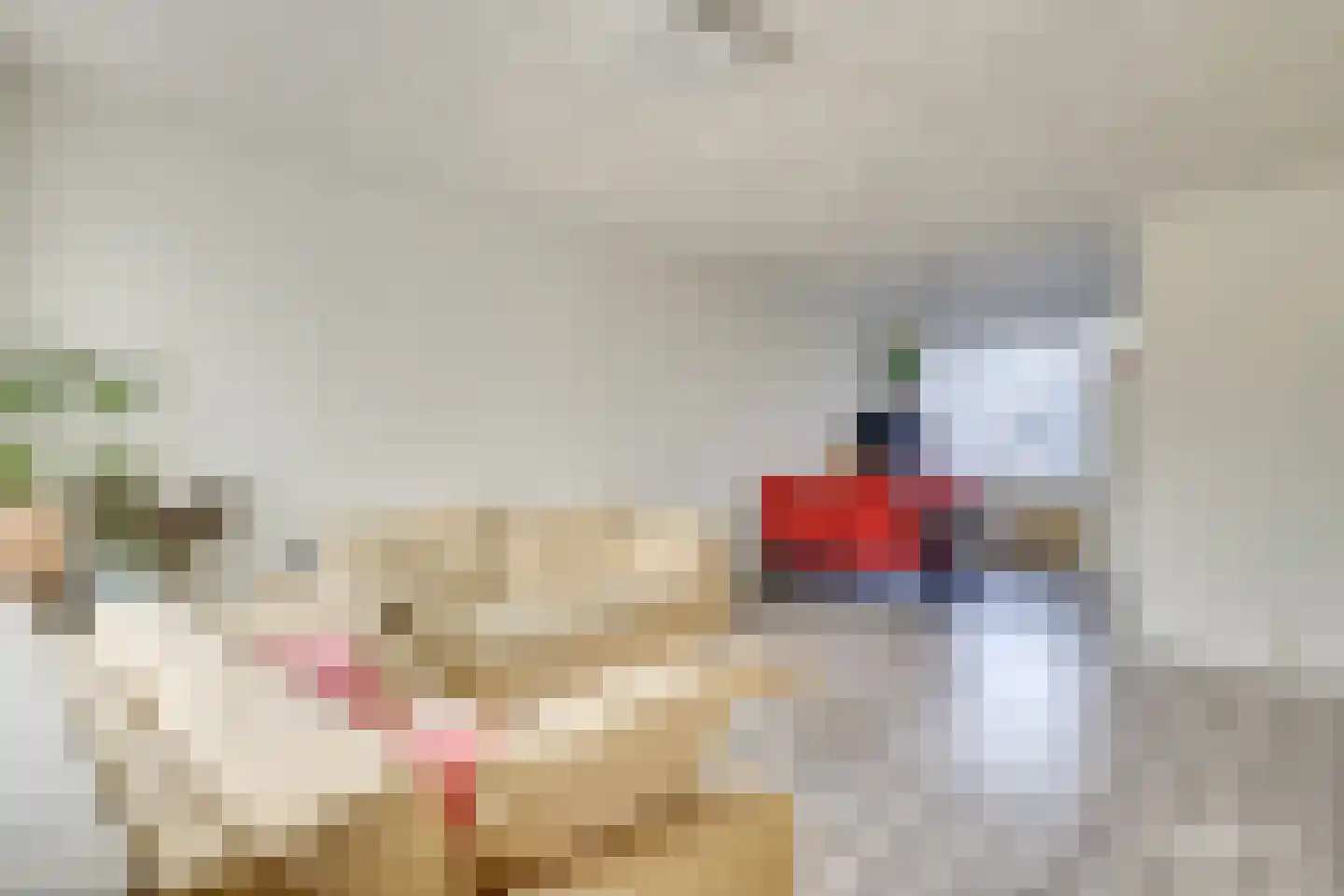 Mevr. Brantlaan 21 Waalre thumbnail 7
