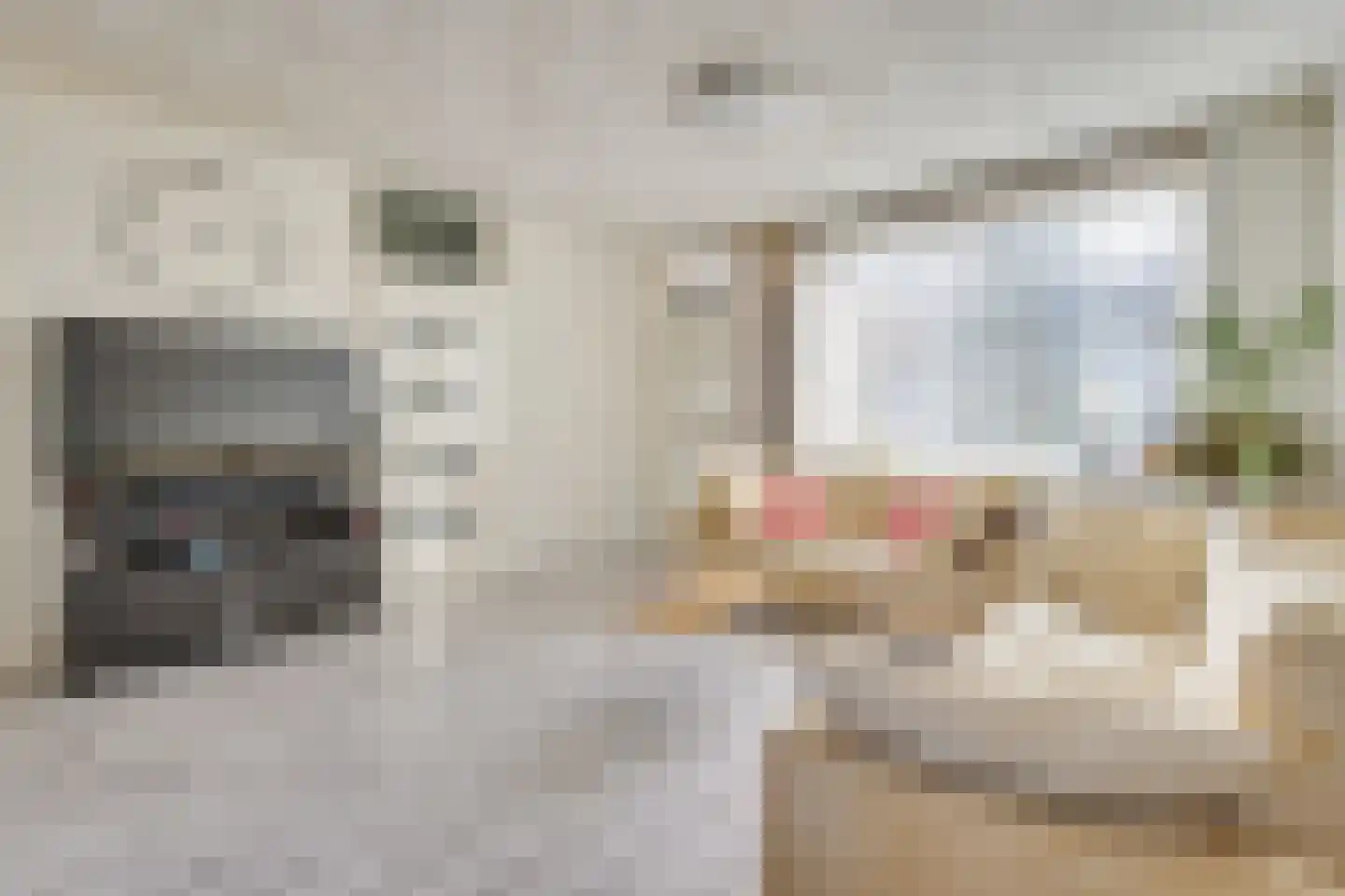 Mevr. Brantlaan 21 Waalre thumbnail 8