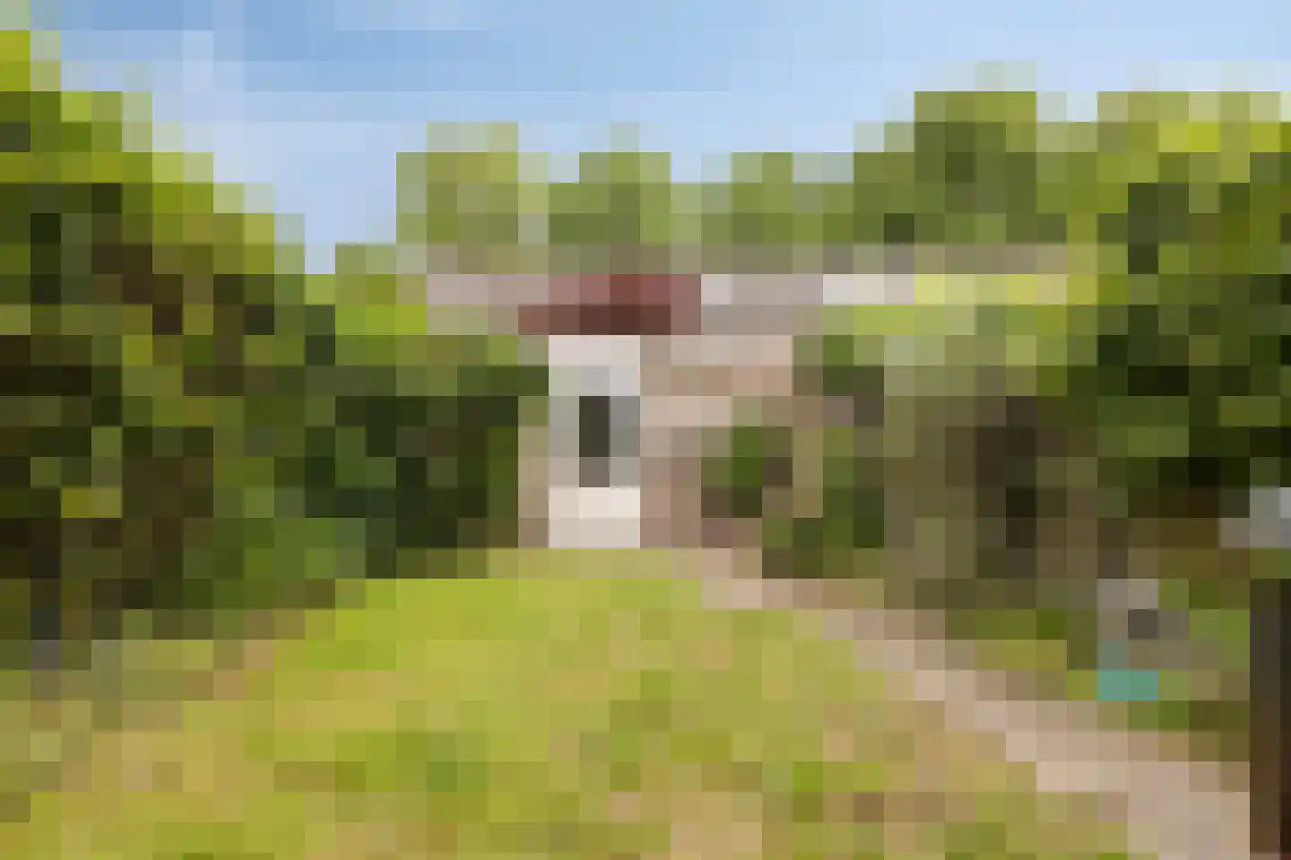 Mevr. Brantlaan 37 Waalre thumbnail 13