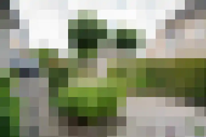 Mevr. Dr. M.A.M. Klompéstraat 7 Gorinchem thumbnail 6
