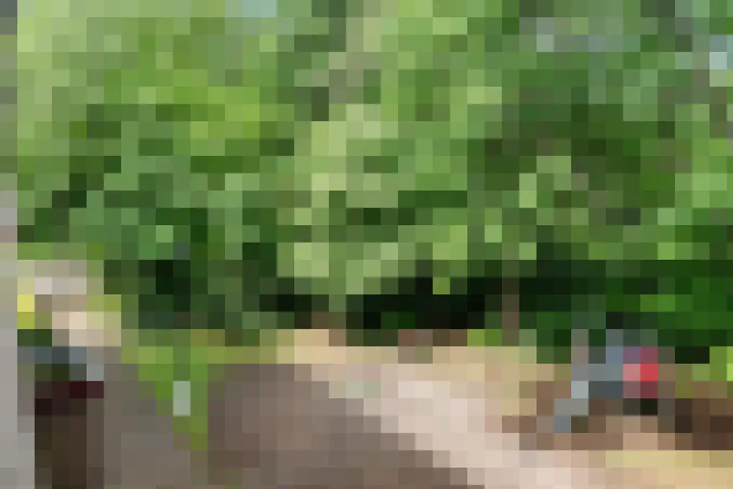 Mevr. Kuipers-Rietberglaan 17 Zeist thumbnail 26