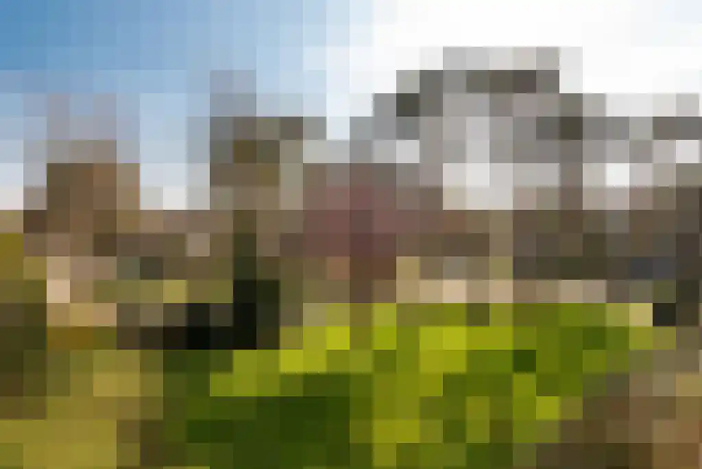 Mevr. Kuipers-Rietberglaan 17 Zeist thumbnail 4