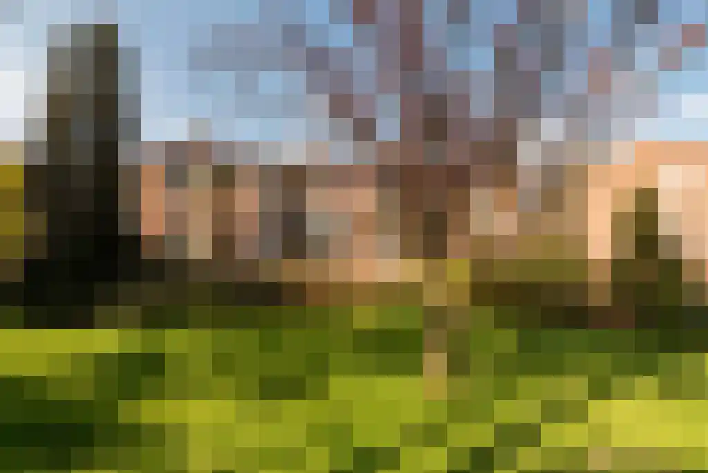 Mevr. Kuipers-Rietberglaan 17 Zeist thumbnail 6