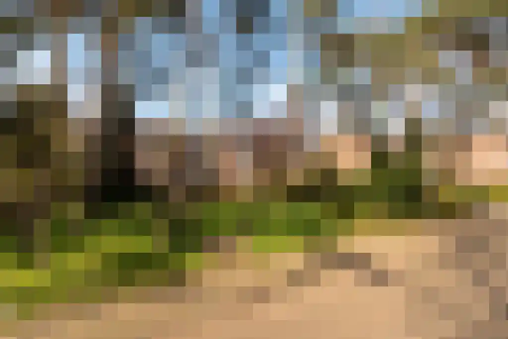 Mevr. Kuipers-Rietberglaan 17 Zeist thumbnail 7