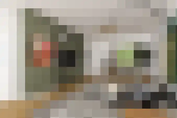 Mevr. Kuipers-Rietberglaan 35 Zeist thumbnail 10