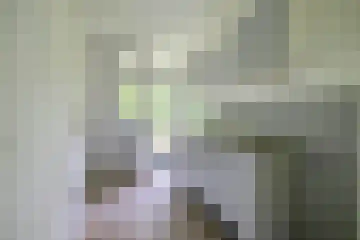 Mevr. Kuipers-Rietberglaan 35 Zeist thumbnail 18