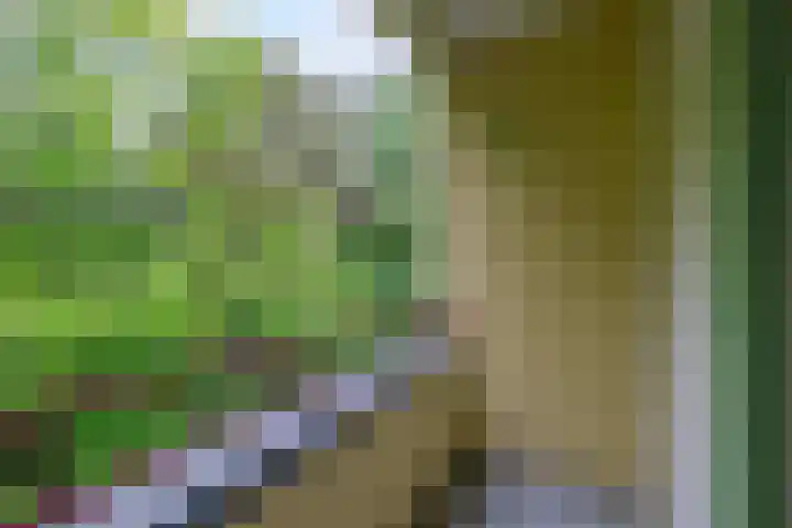 Mevr. Kuipers-Rietberglaan 35 Zeist thumbnail 20