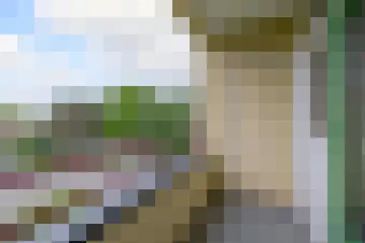 Mevr. Kuipers-Rietberglaan 35 Zeist thumbnail 21