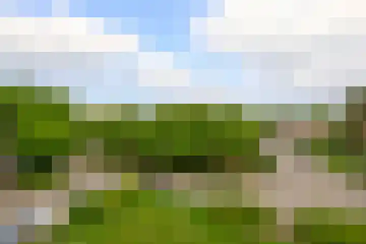 Mevr. Kuipers-Rietberglaan 35 Zeist thumbnail 22