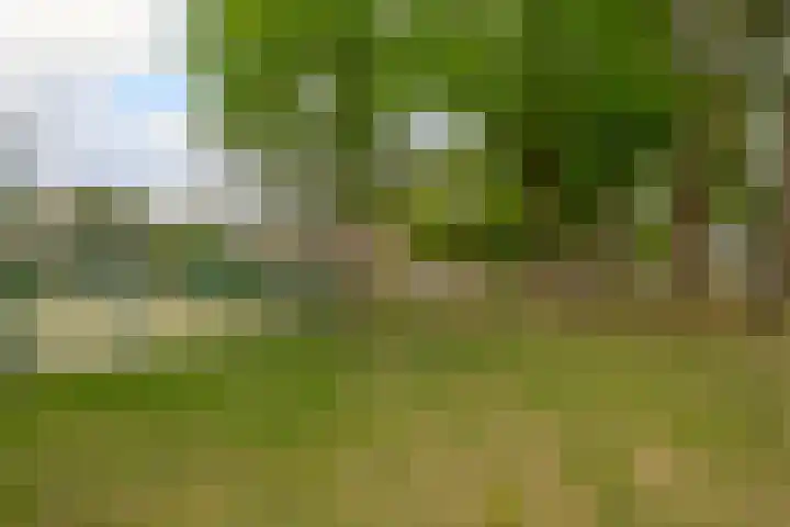 Mevr. Kuipers-Rietberglaan 35 Zeist thumbnail 37