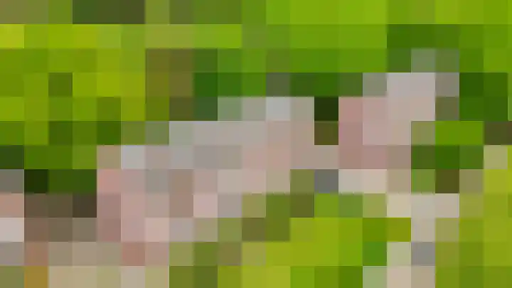 Mevr. Kuipers-Rietberglaan 35 Zeist thumbnail 40