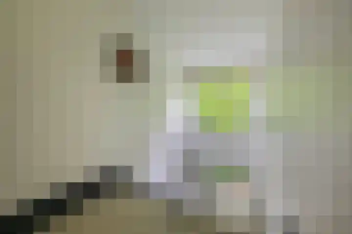 Mevr. Kuipers-Rietberglaan 35 Zeist thumbnail 6
