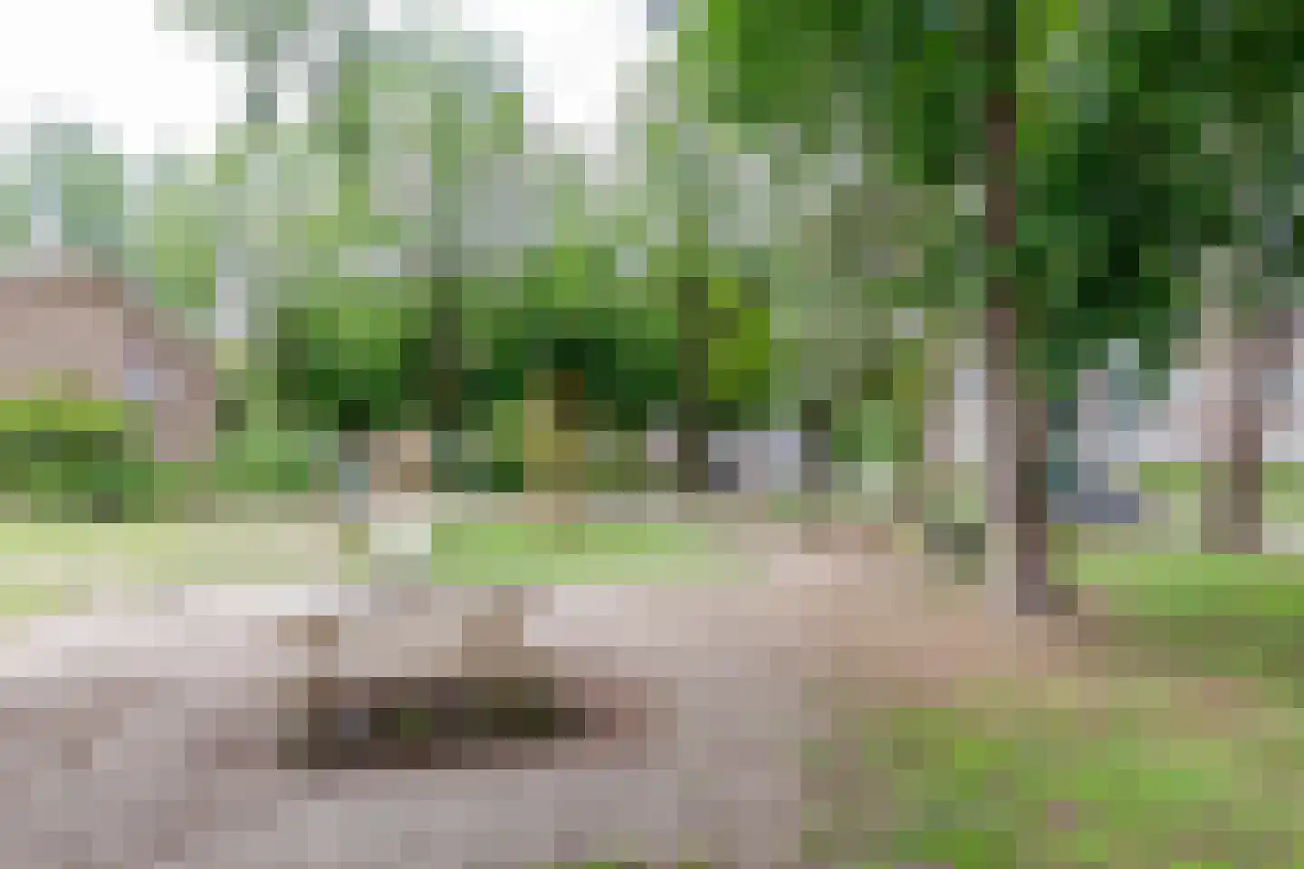 Mevr. Kuipers-Rietberglaan 43 Zeist thumbnail 23