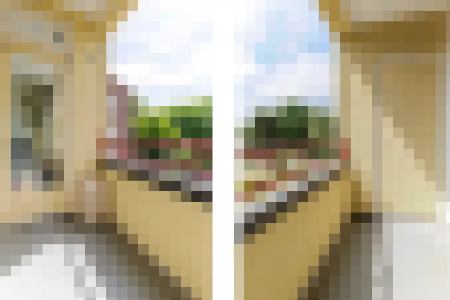 Mevr. Kuipers-Rietberglaan 43 Zeist thumbnail 7