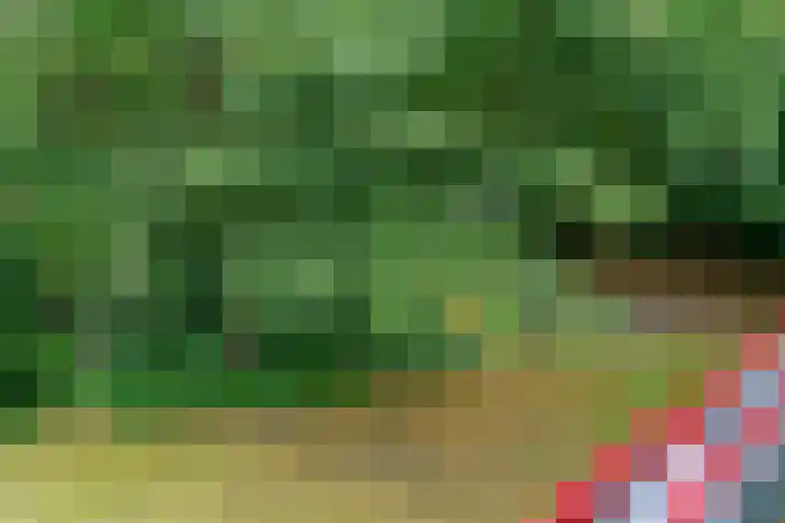 Mevr. Kuipers-Rietberglaan 57 Zeist thumbnail 19