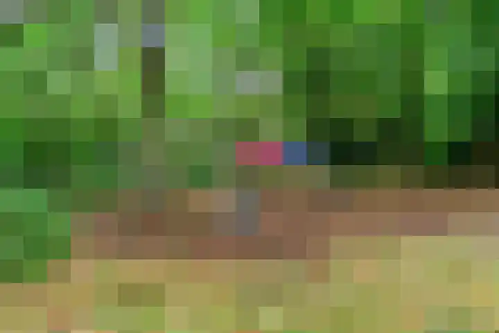 Mevr. Kuipers-Rietberglaan 57 Zeist thumbnail 32