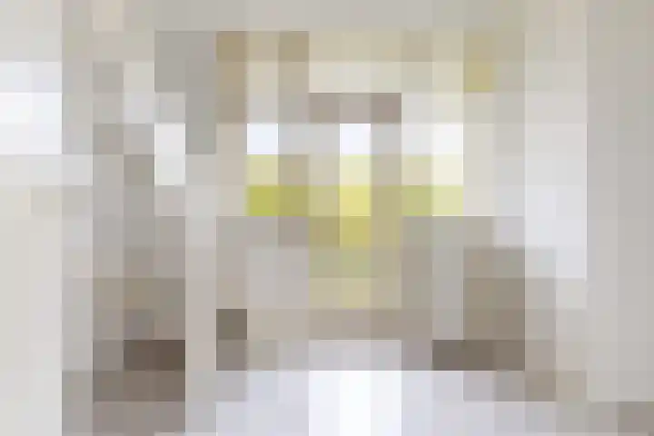 Mevr. Kuipers-Rietberglaan 57 Zeist thumbnail 8