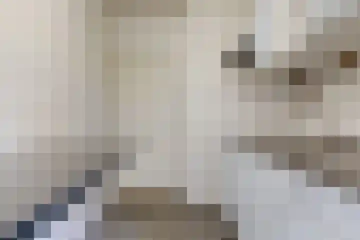 Mevr. Kuipers-Rietberglaan 57 Zeist thumbnail 9