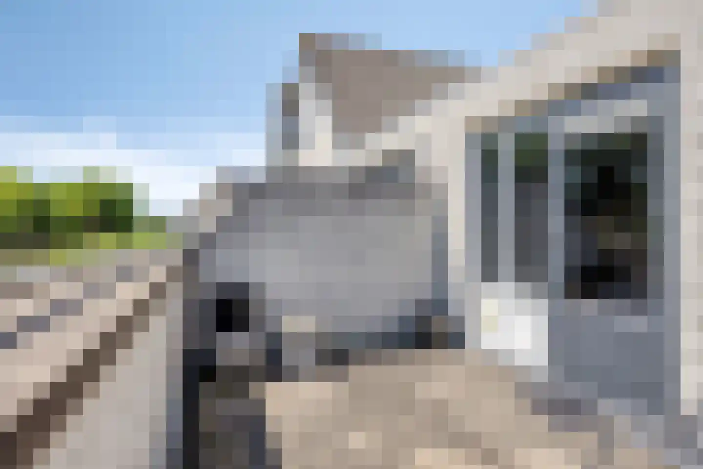 Mevr.Mr. L. Ribbius Peletierstraat 18 Gorinchem thumbnail 16