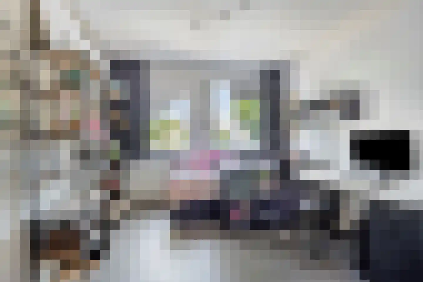 Mevr.Mr. L. Ribbius Peletierstraat 18 Gorinchem thumbnail 18